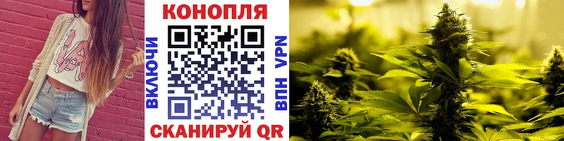 Каннабис план Пересвет
